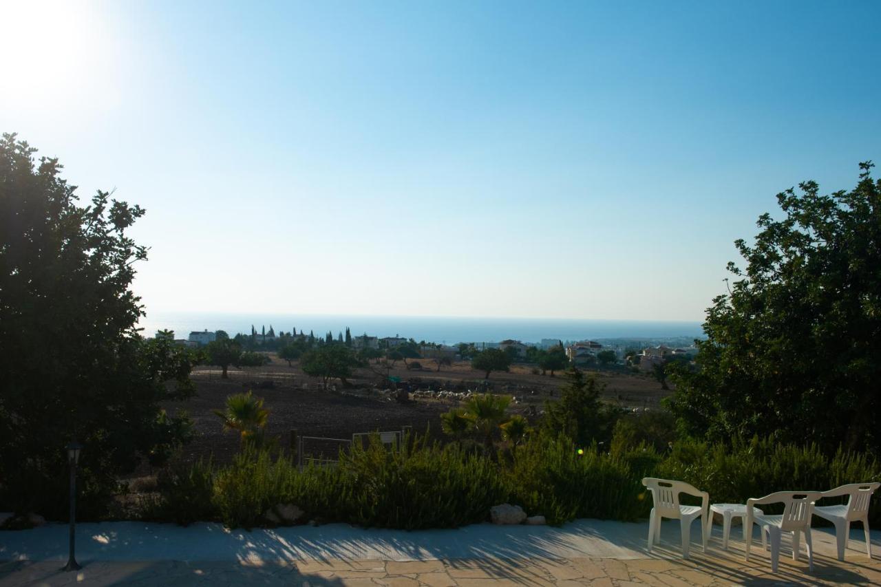 Adonis Villa 코럴베이 외부 사진